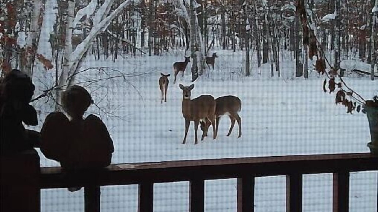 Photo of Others in Crosslake