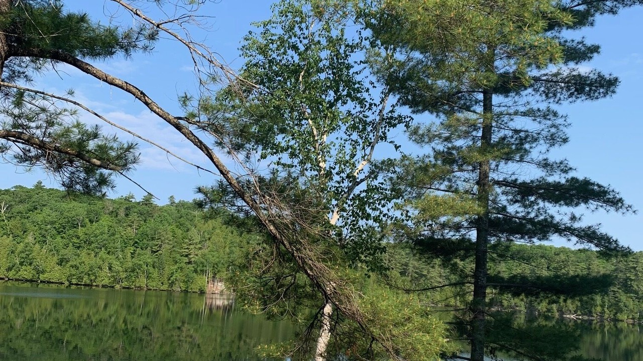 Photo of Others in North Frontenac