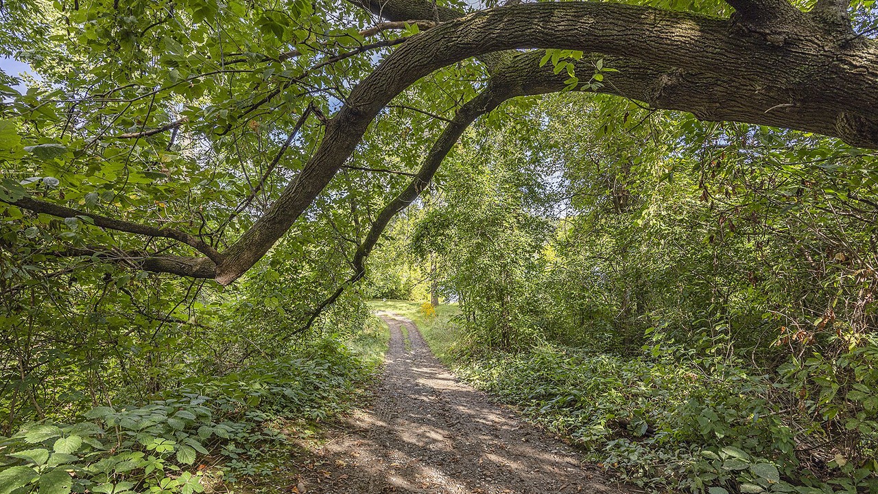 Photo of Outdoor in Napanee