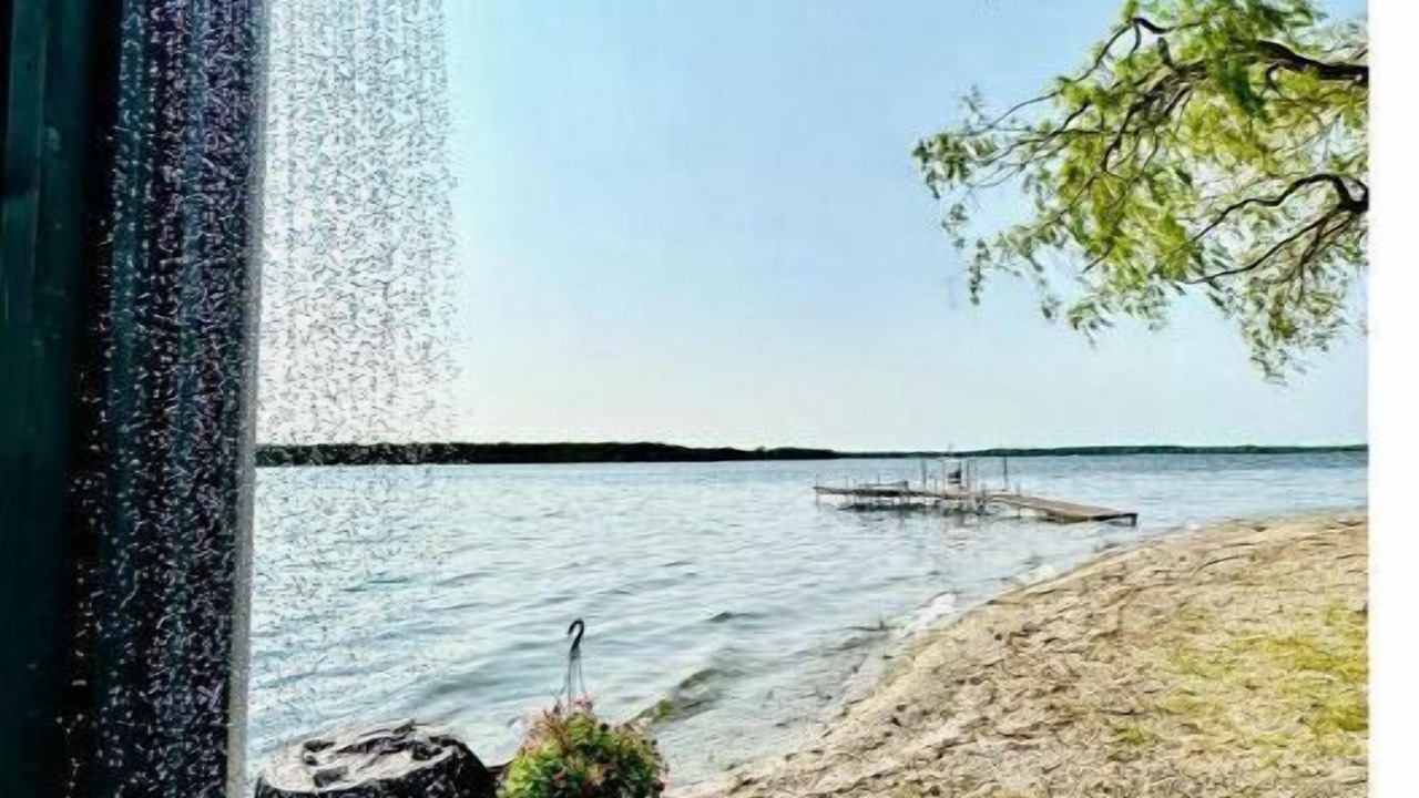 Photo of Others in Greater Napanee