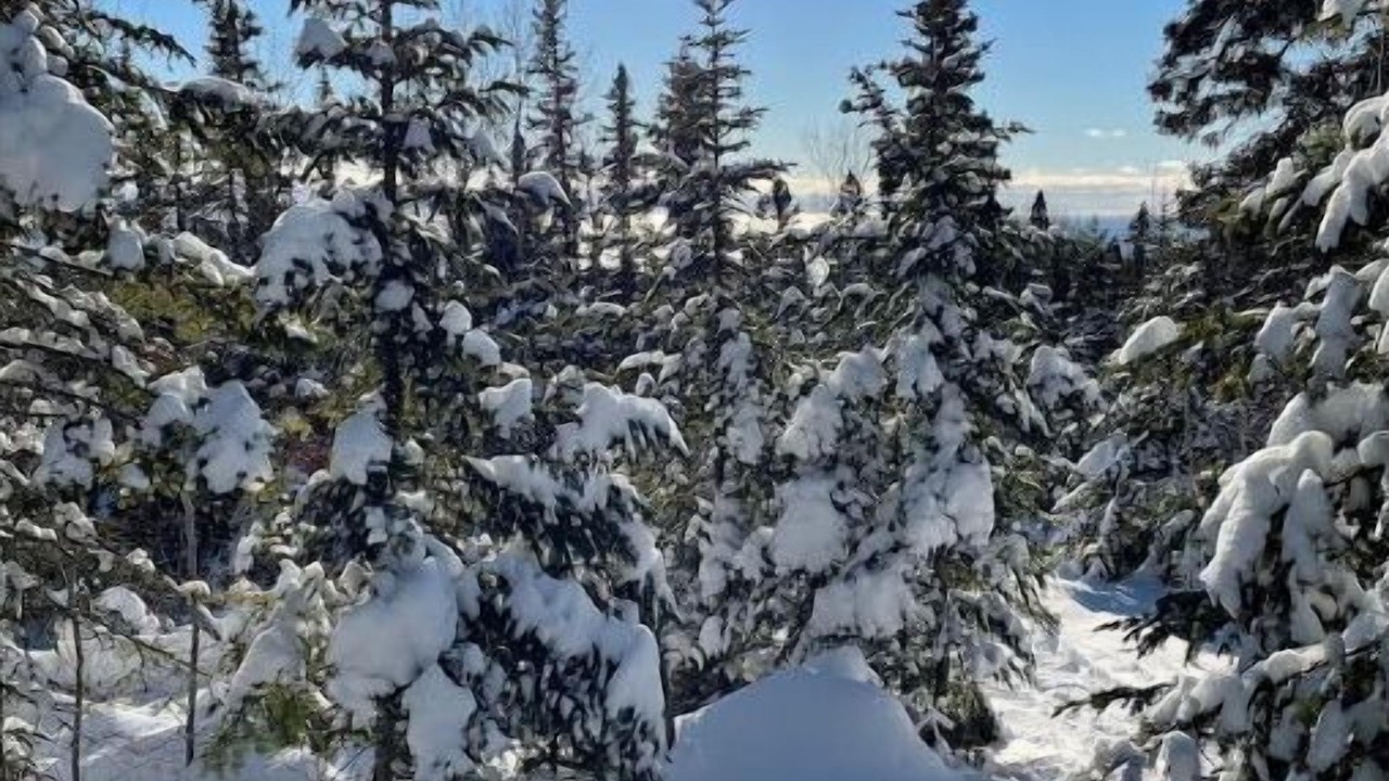 Photo of Others in Grand Marais