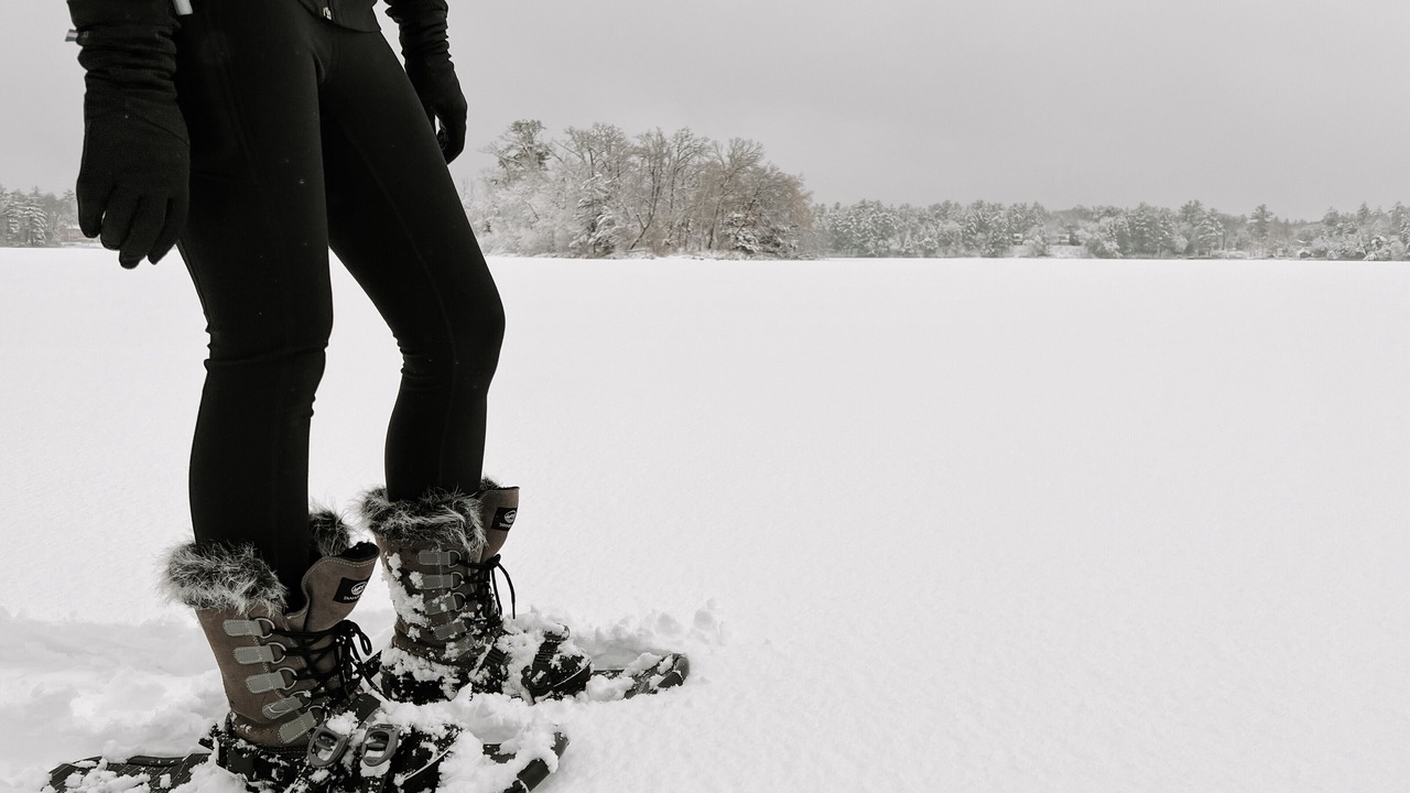 Photo of Others in Nisswa