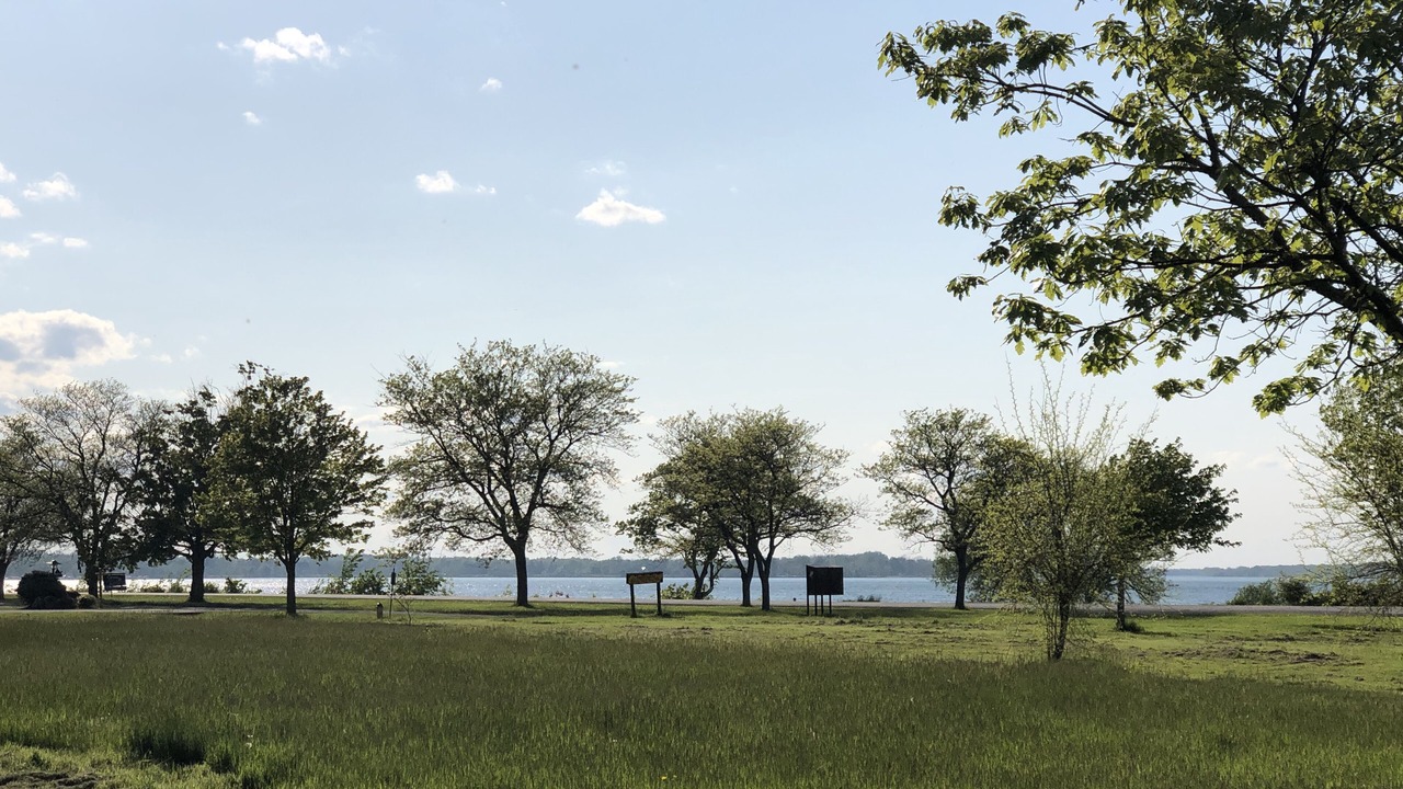 Photo of Others in Fort Erie