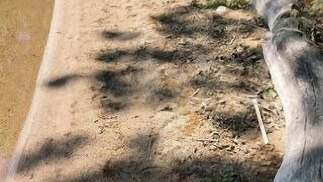 Photo of Others in Clay County