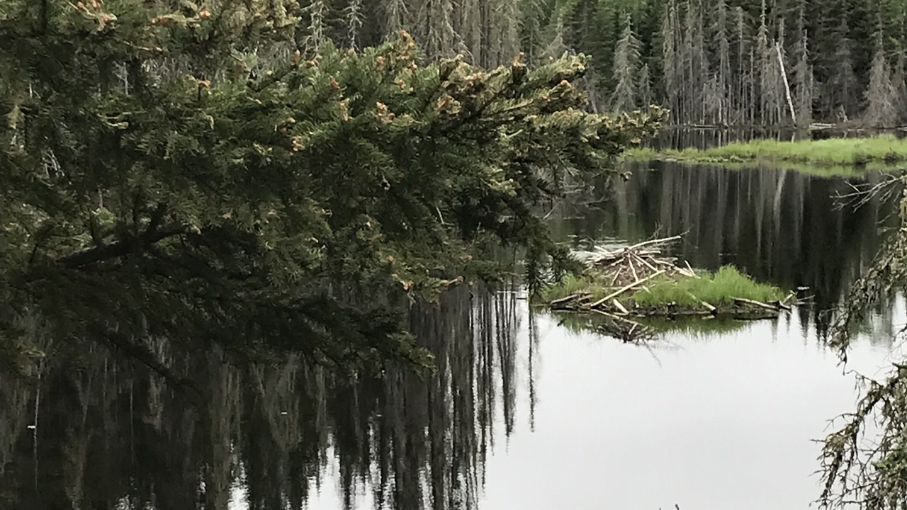 Photo of Others in Duluth