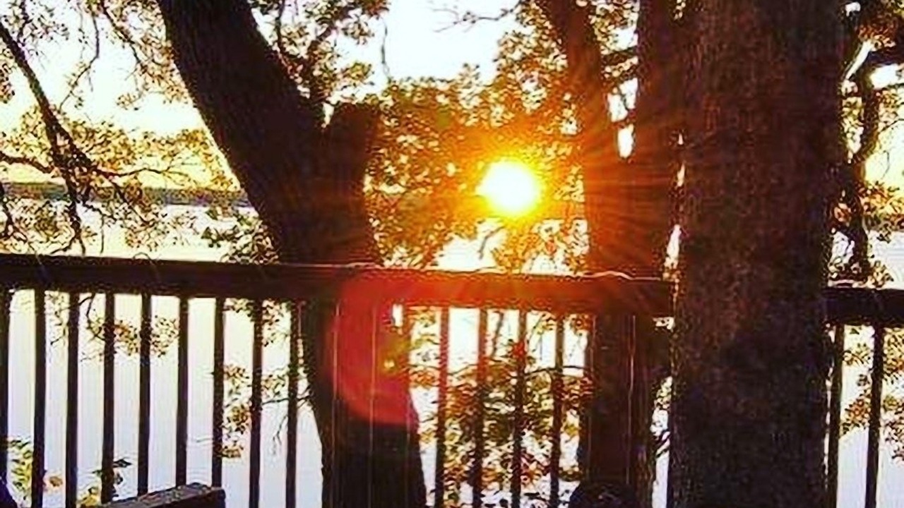 Photo of Outdoor in Litchfield
