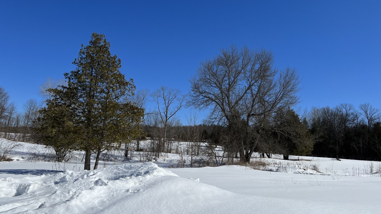 Photo of Outdoor in Crowes Landing