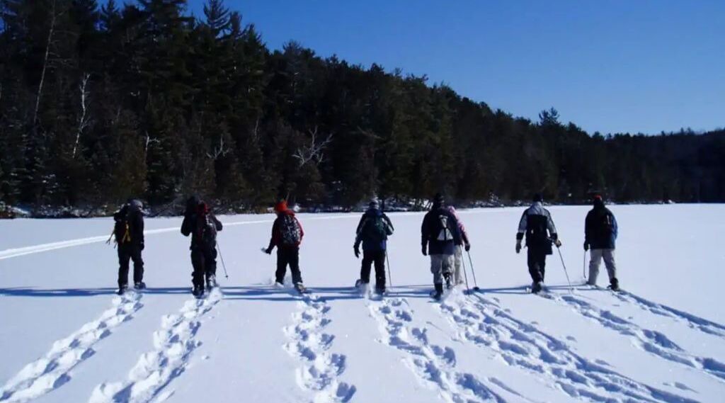 Photo of Others in Baysville