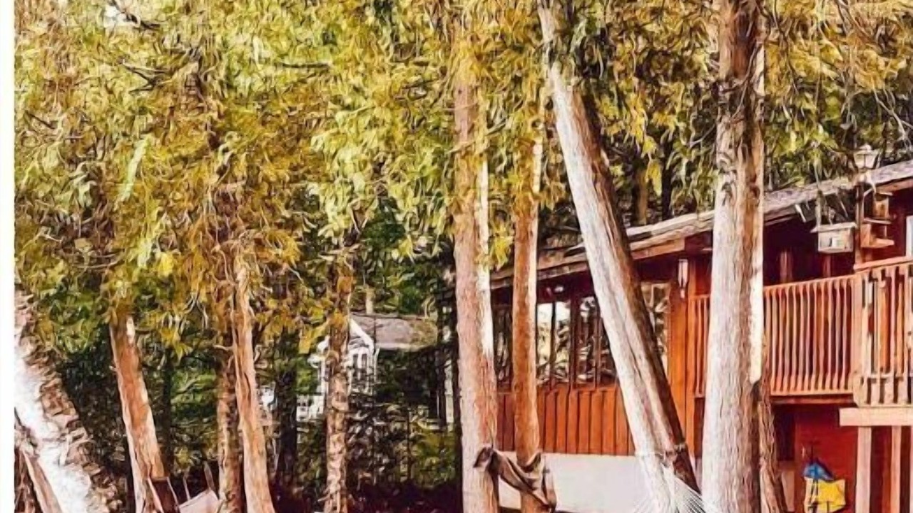 Photo of Outdoor in Baysville