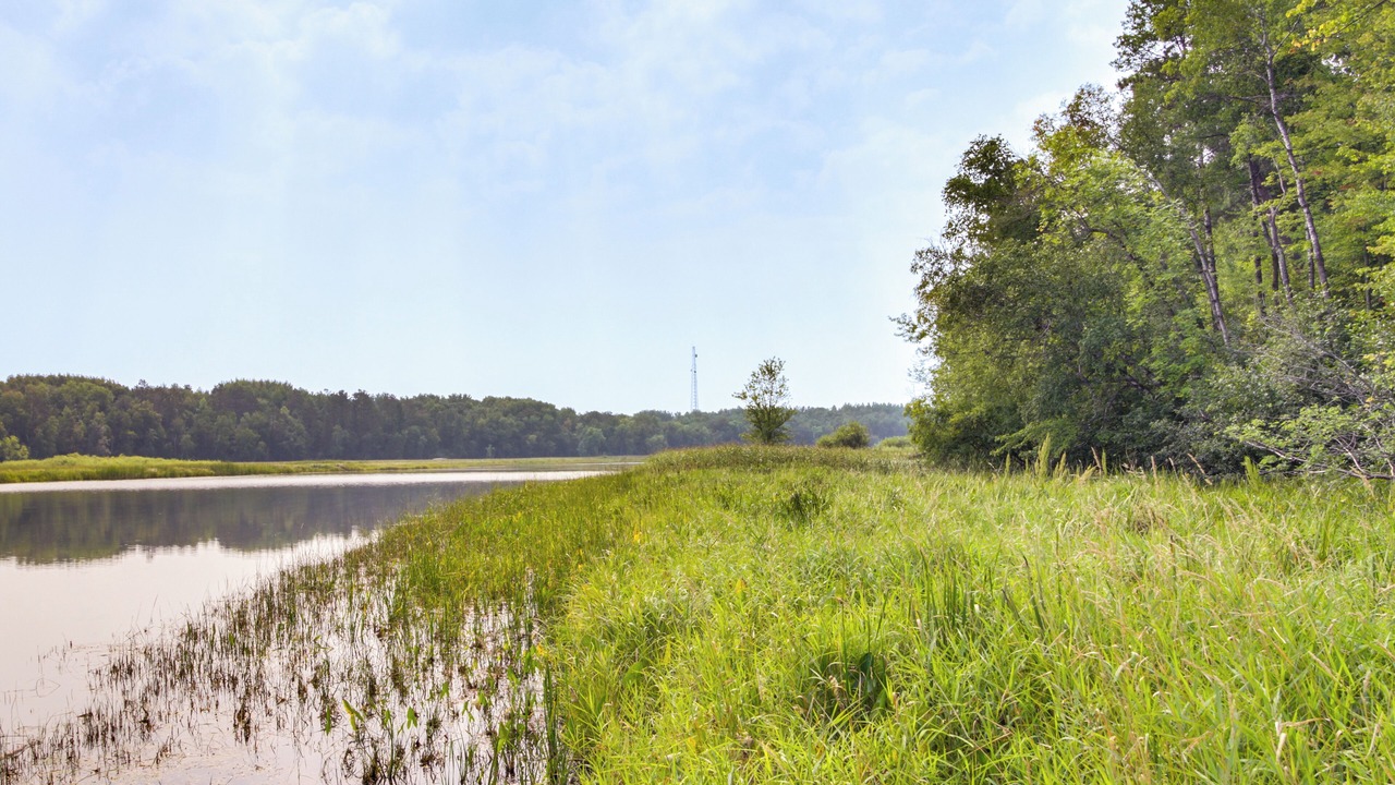 Photo of Outdoor in Crow Wing County
