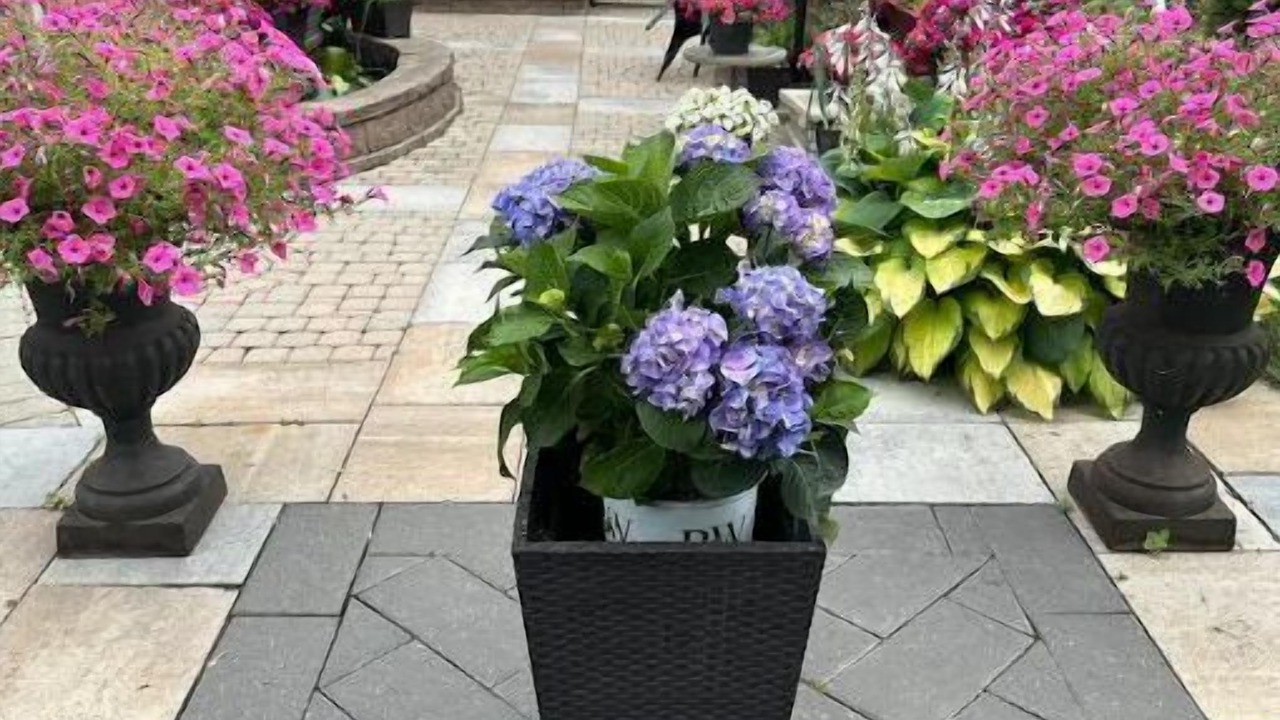 Photo of Outdoor in Hurontario