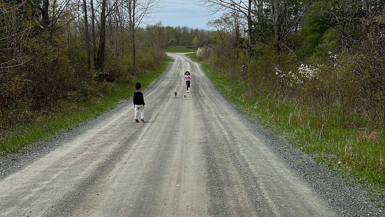 Photo of Outdoor in Madoc