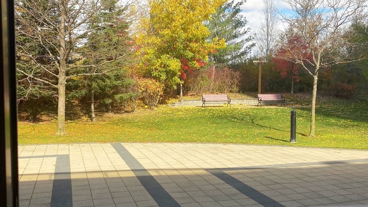 Photo of Outdoor in Humberwood