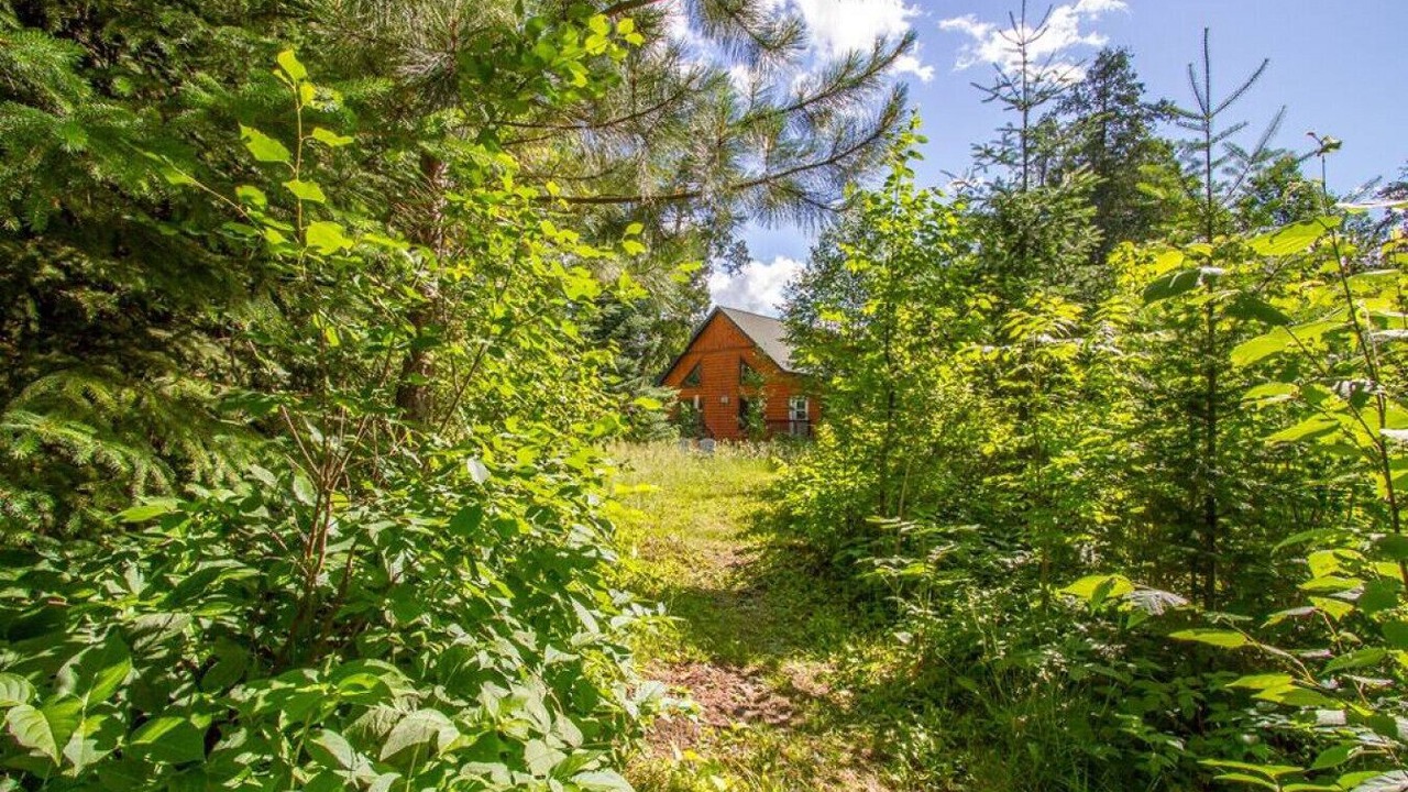Photo of Outdoor in Grand Marais