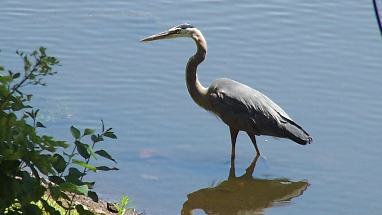 Photo of Others in Mora