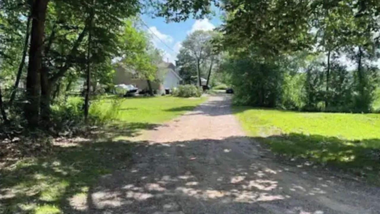 Photo of Others in Zimmerman