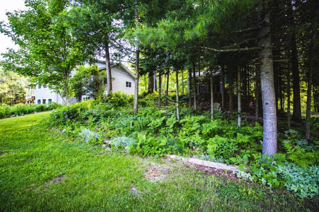 Photo of Outdoor in Bobcaygeon