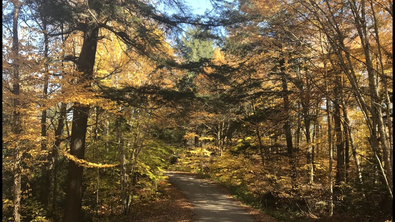 Photo of Outdoor in Eagle Lake