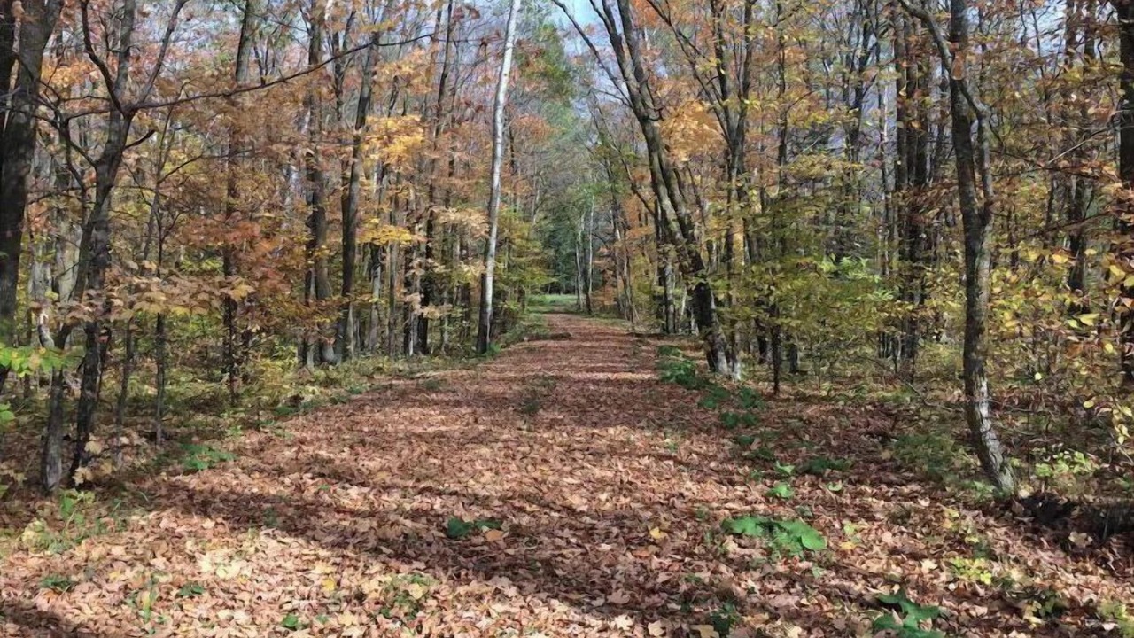Photo of Outdoor in Puposky