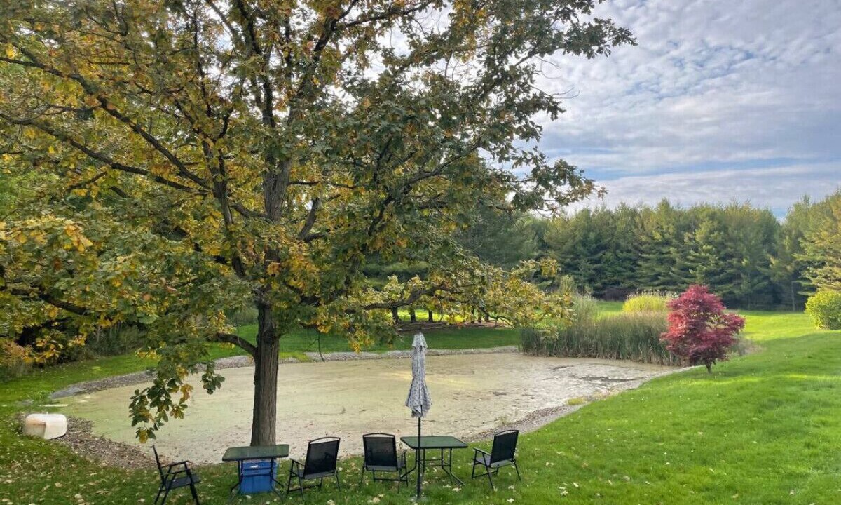 Photo of Others in Cayuga