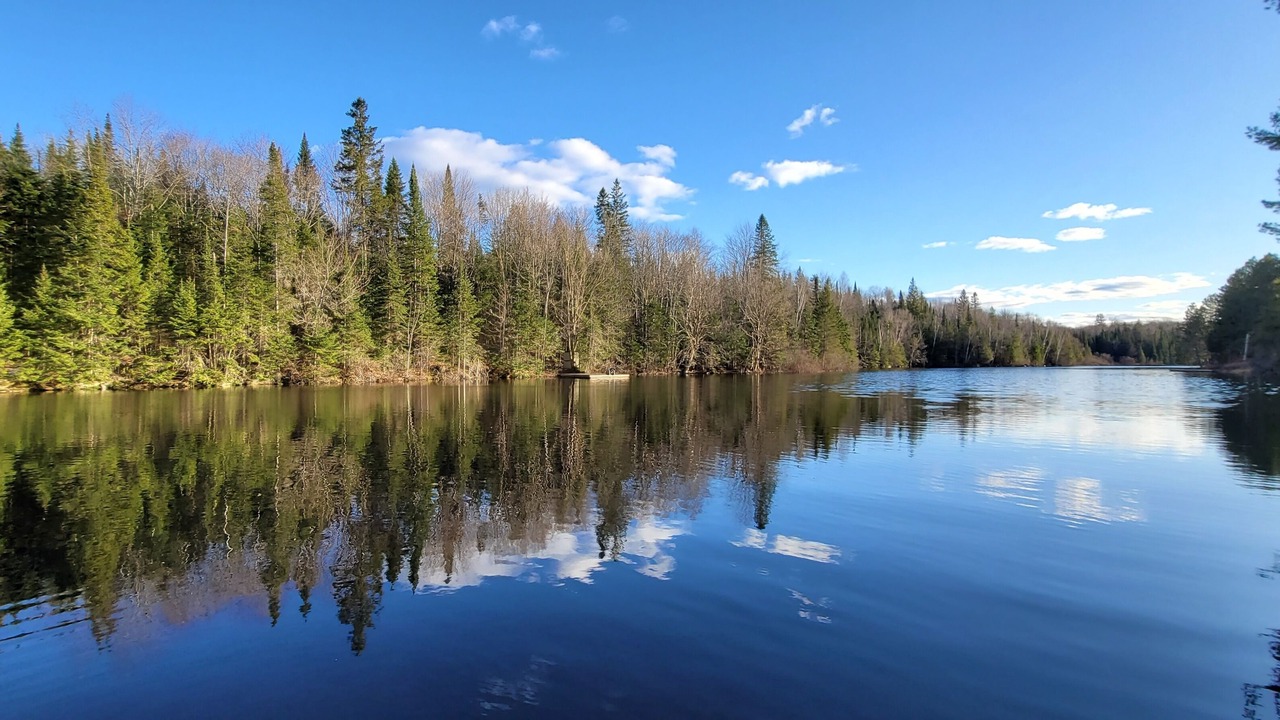 Photo of Others in Haliburton