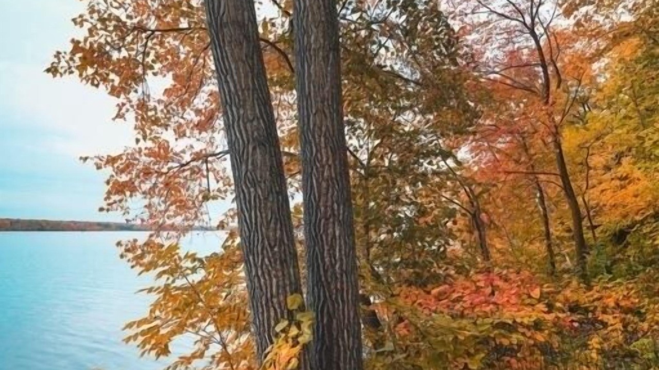 Photo of Outdoor in Sauk Centre