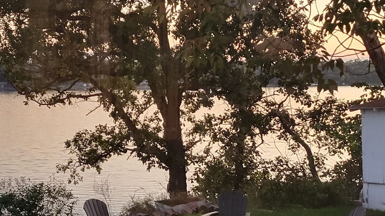 Photo of Outdoor in Foster