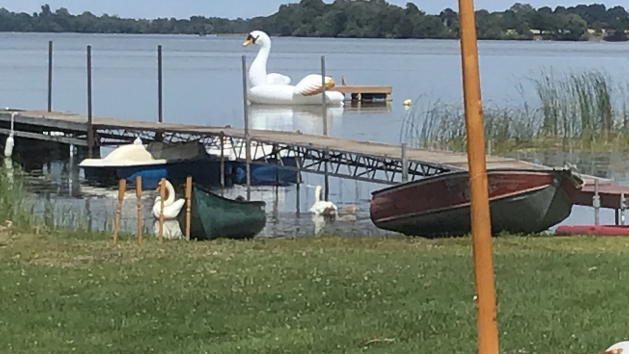 Photo of Outdoor in Milford