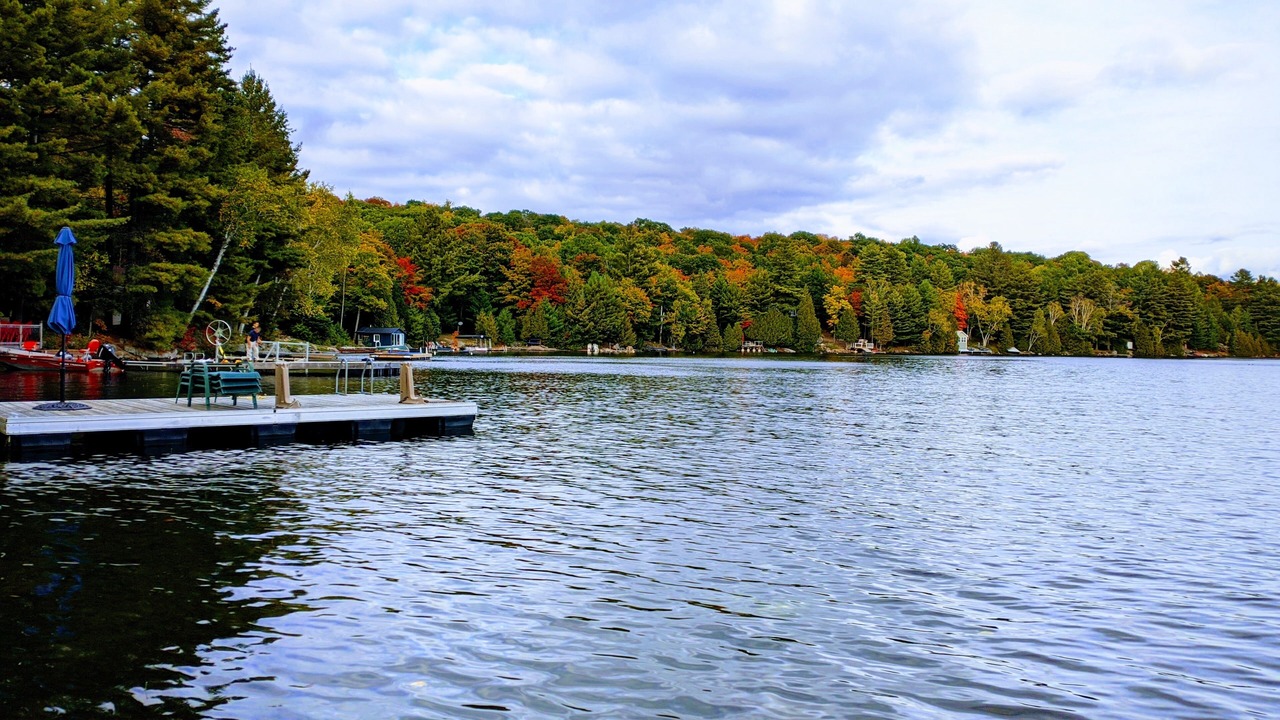 Photo of Outdoor in Irondale