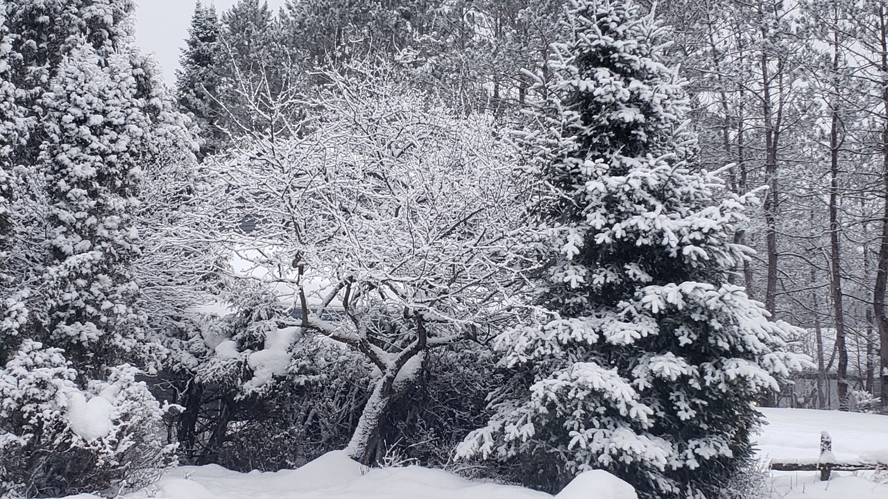 Photo of Outdoor in Huntsville