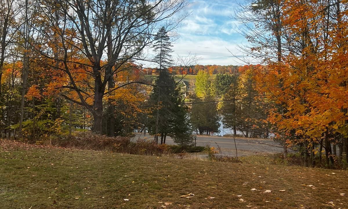 Photo of Outdoor in Bracebridge