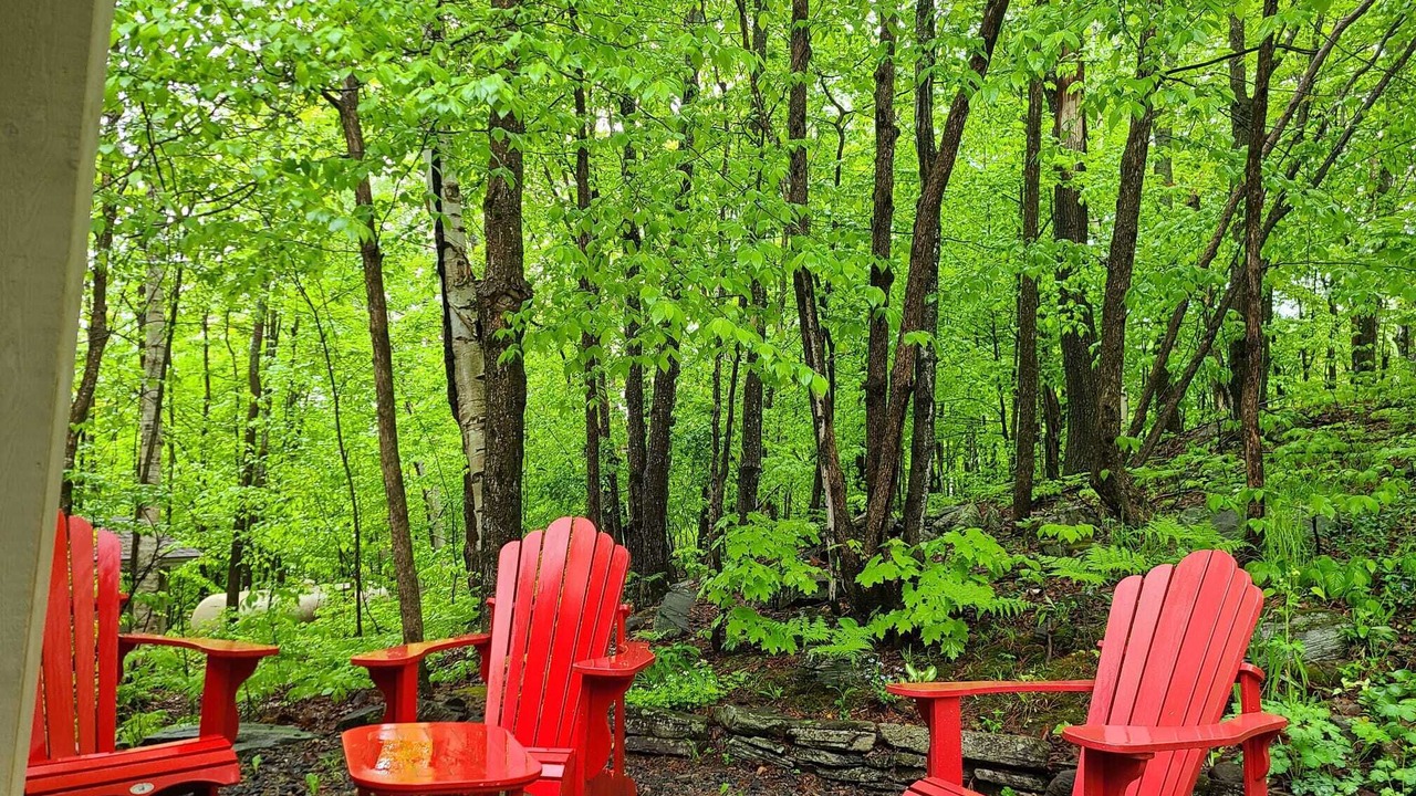 Photo of Outdoor in Lake of Bays