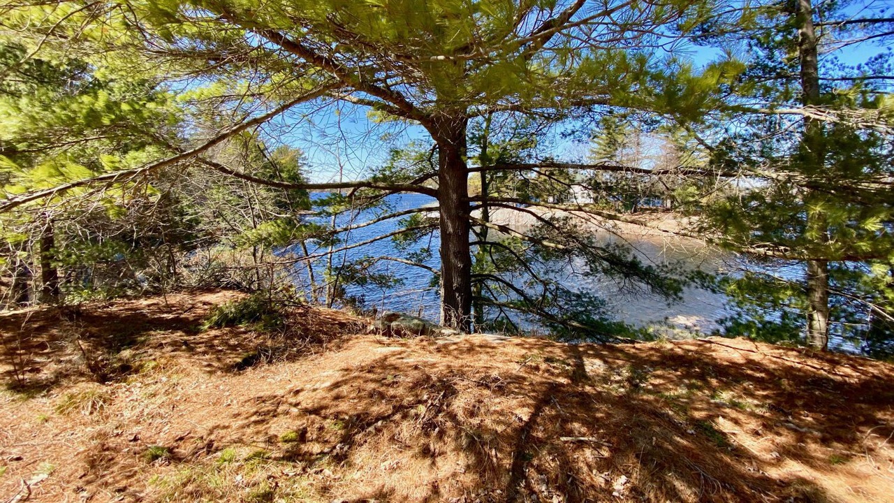 Photo of Outdoor in Douro-Dummer