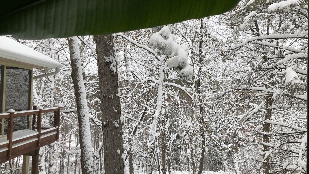 Photo of Others in Minnetonka