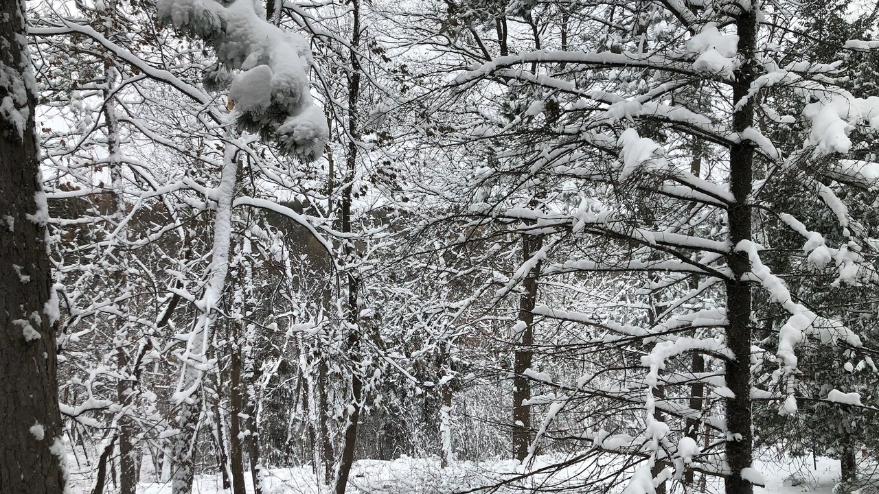Photo of Others in Minnetonka