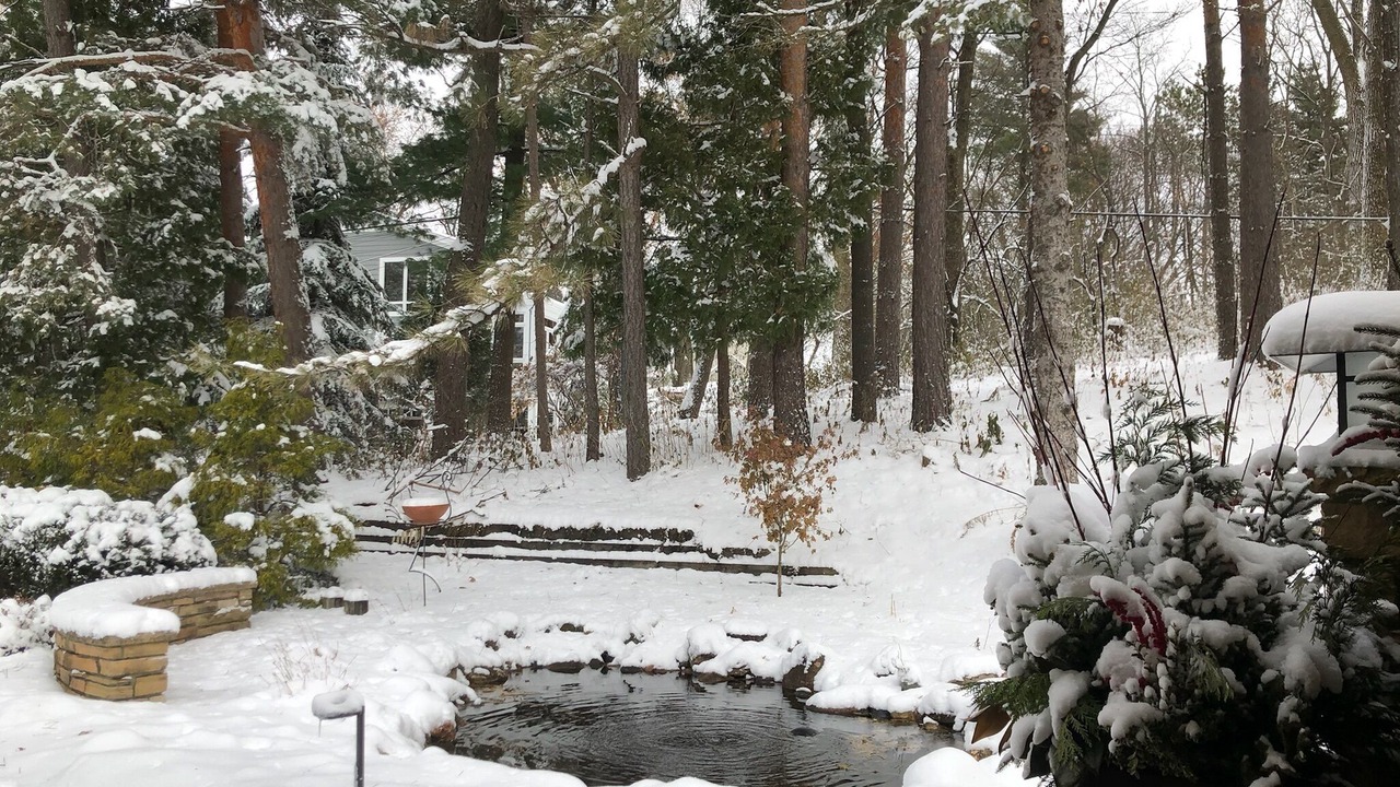 Photo of Others in Minnetonka