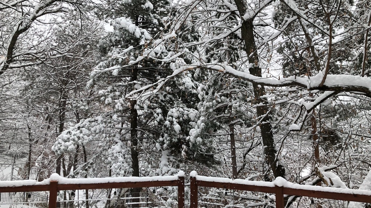 Photo of Others in Minnetonka