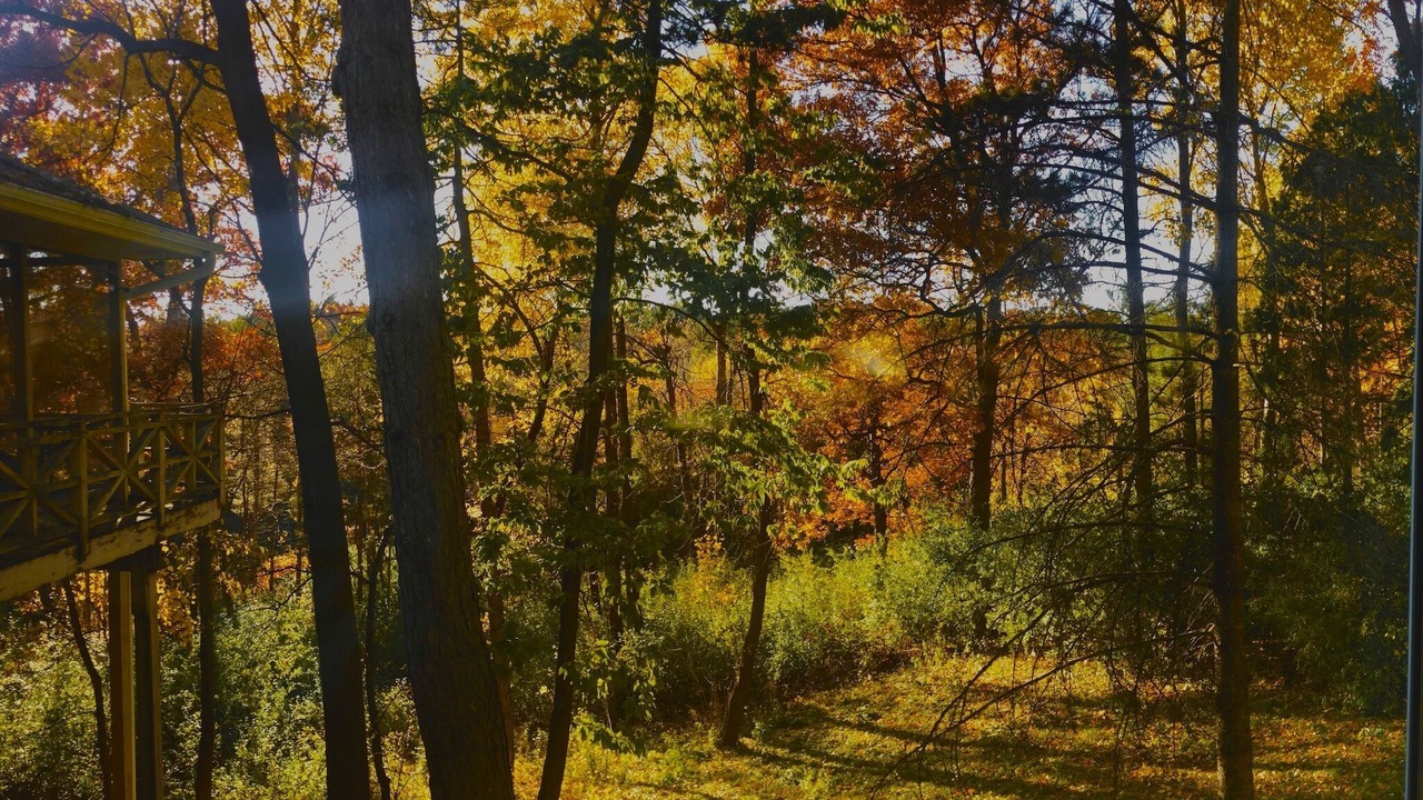 Photo of Others in Minnetonka