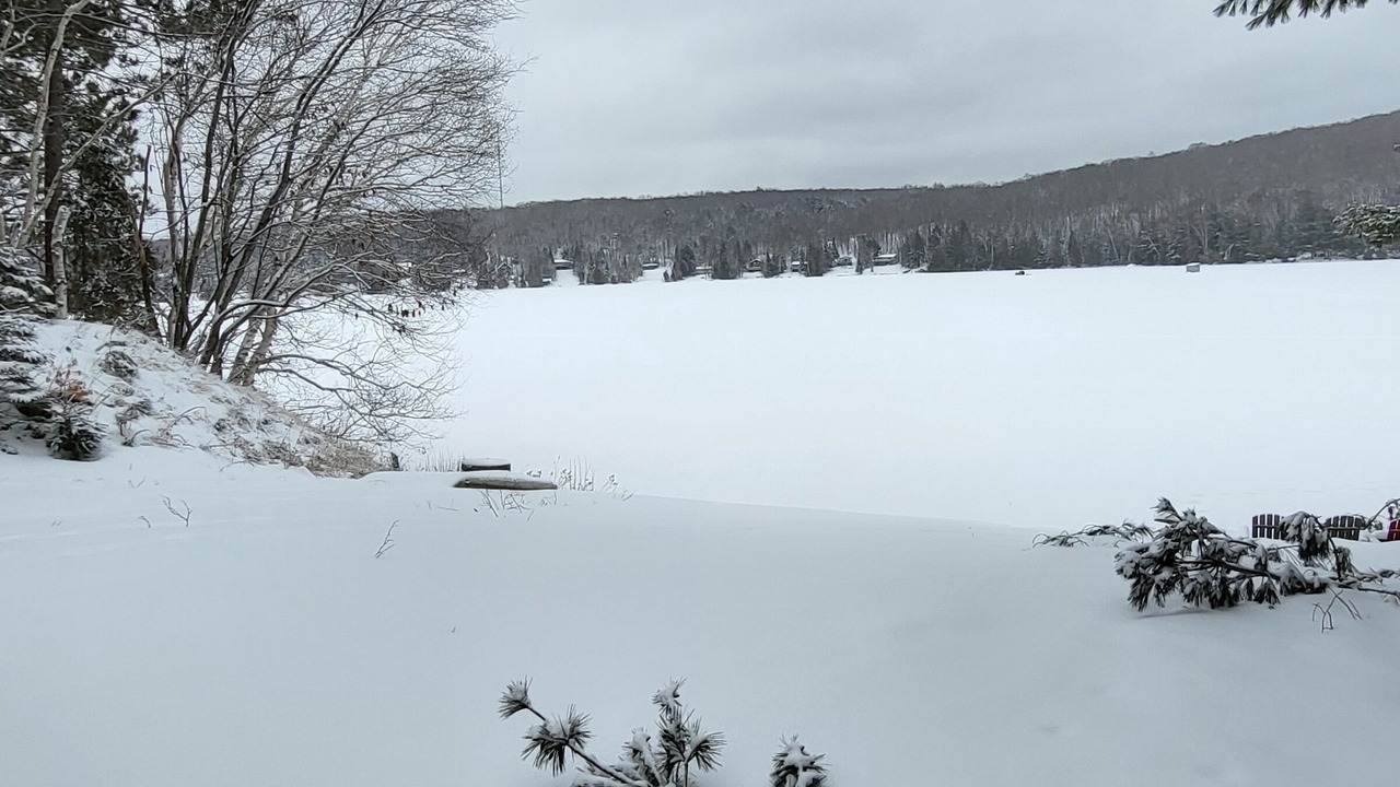 Photo of Others in Highland Grove