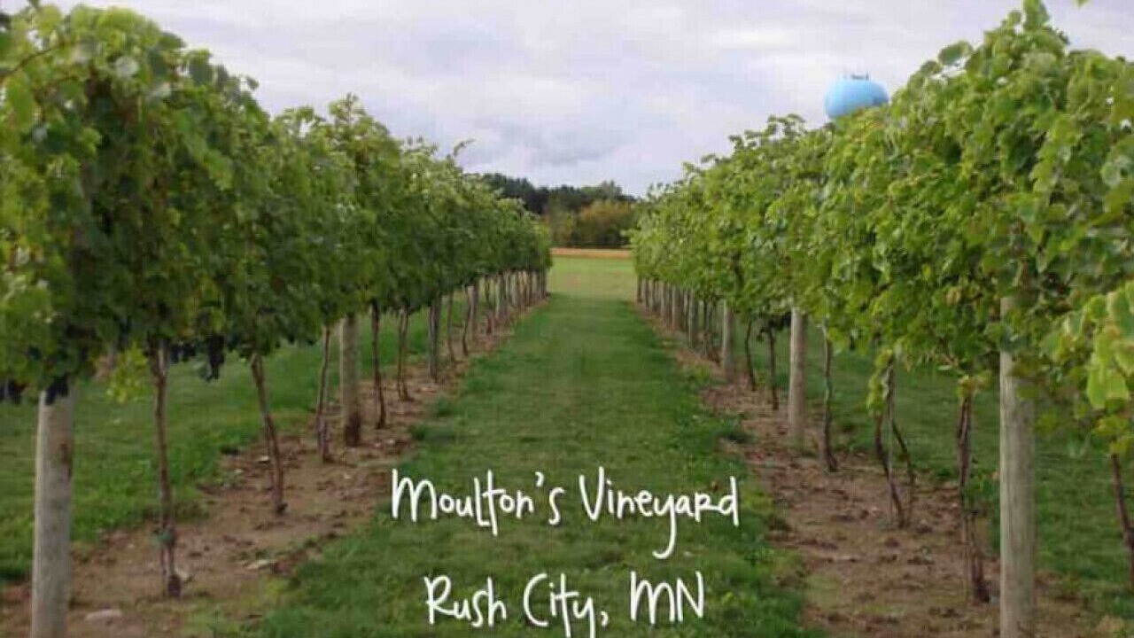 Photo of Outdoor in Rush City