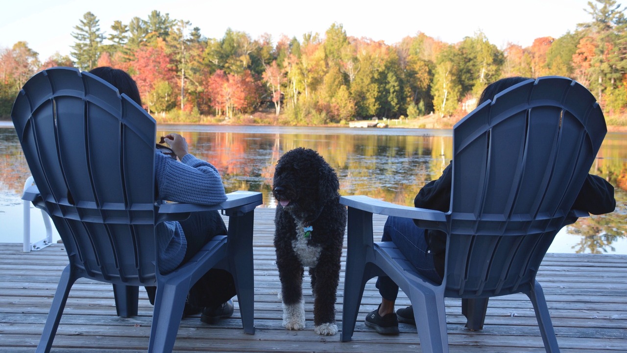 Photo of Others in Marmora and Lake