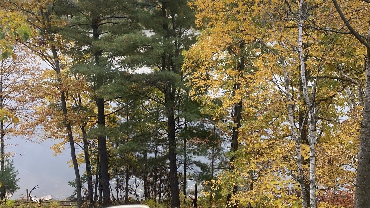 Photo of Outdoor in Outing