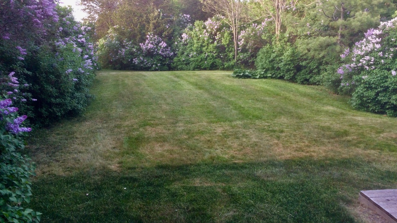 Photo of Outdoor in Prince Edward