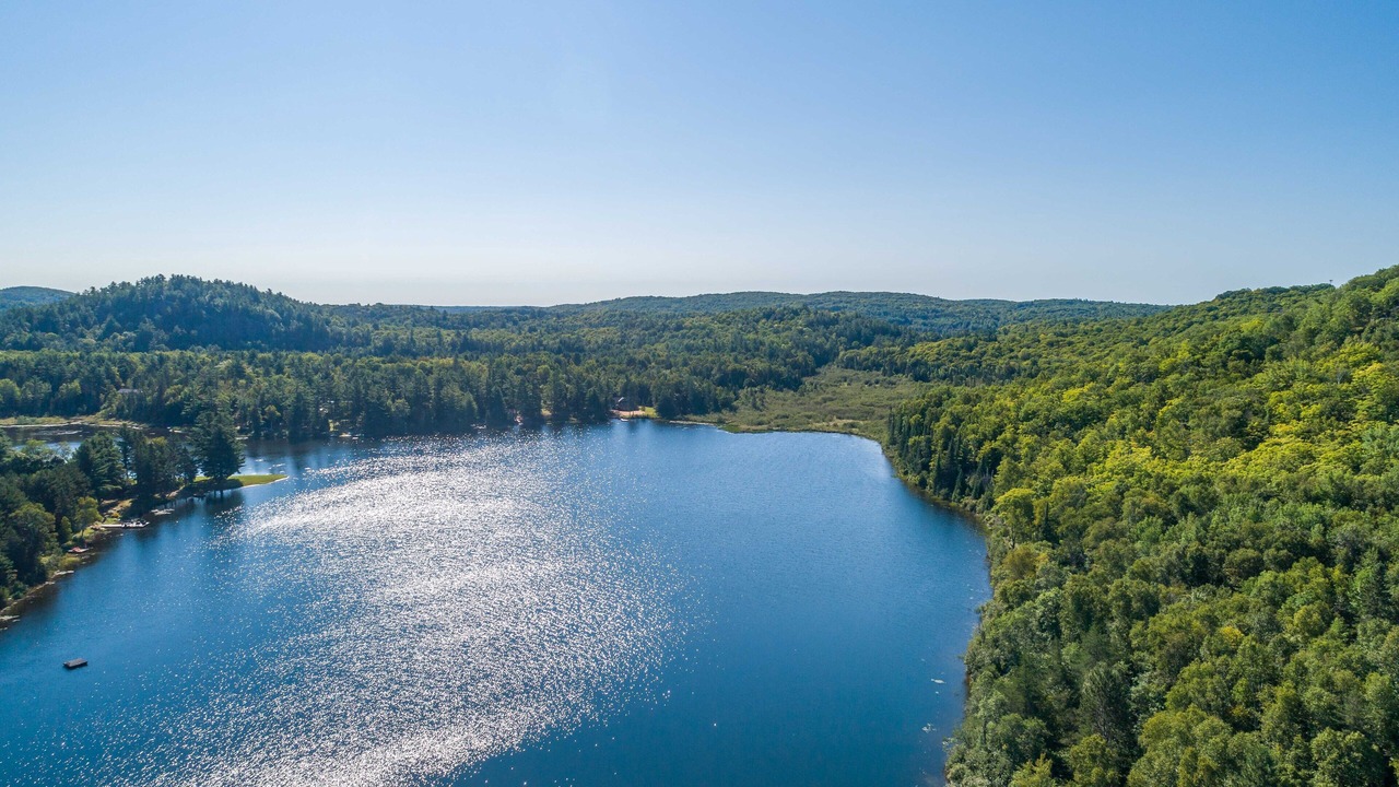 Photo of Others in Bancroft
