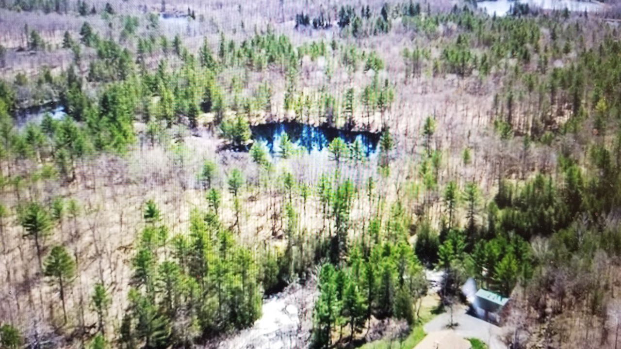 Photo of Outdoor in Madoc