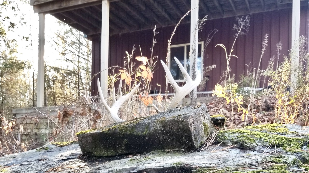 Photo of Outdoor in Madoc