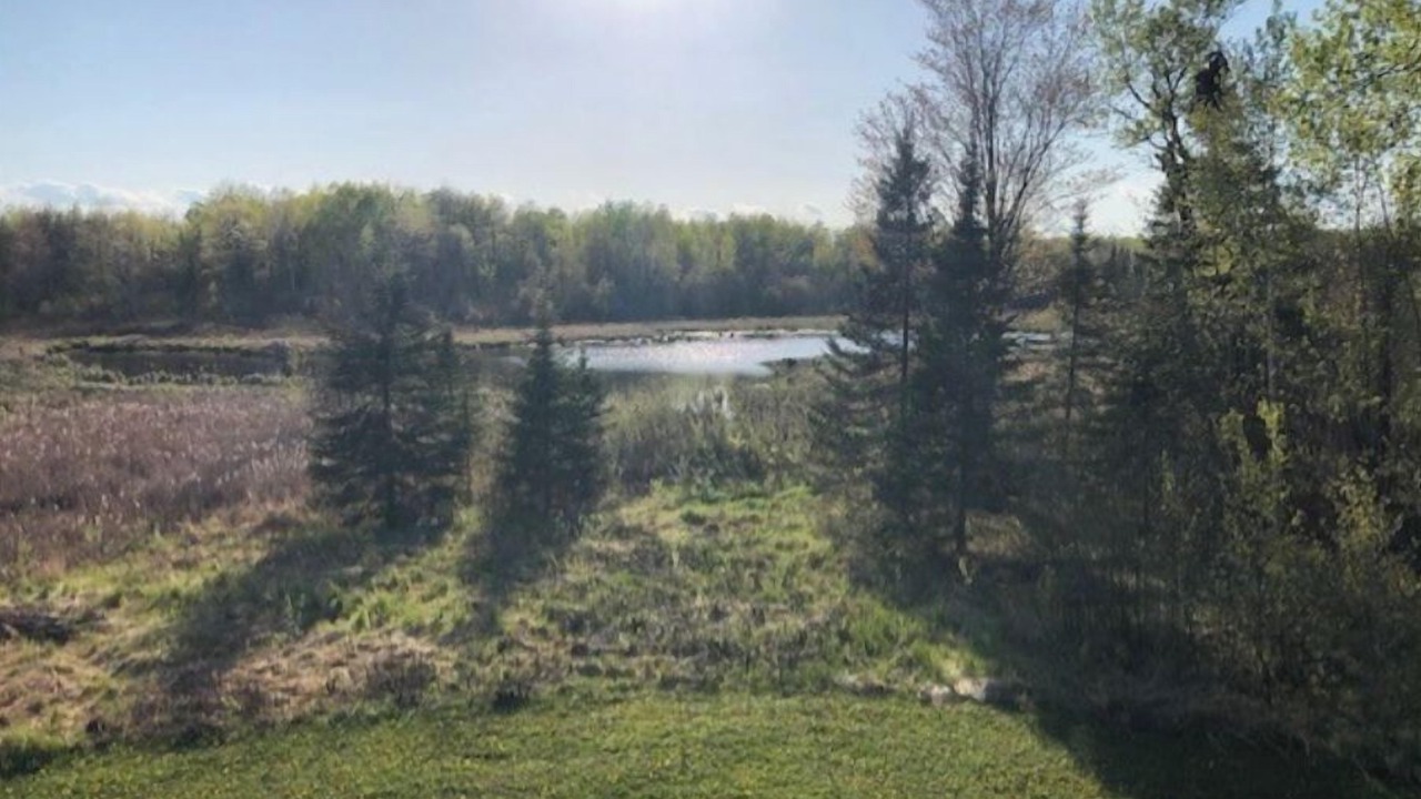 Photo of Others in Duluth