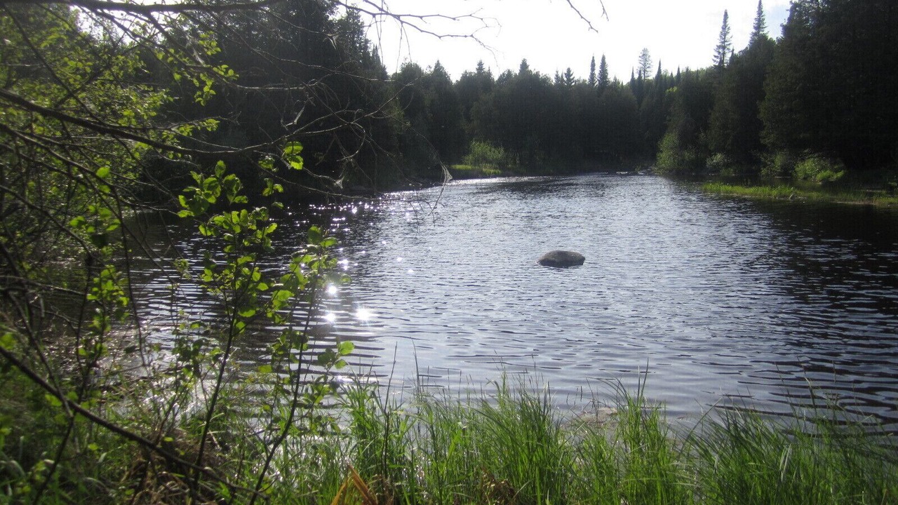 Photo of Others in Tay Valley