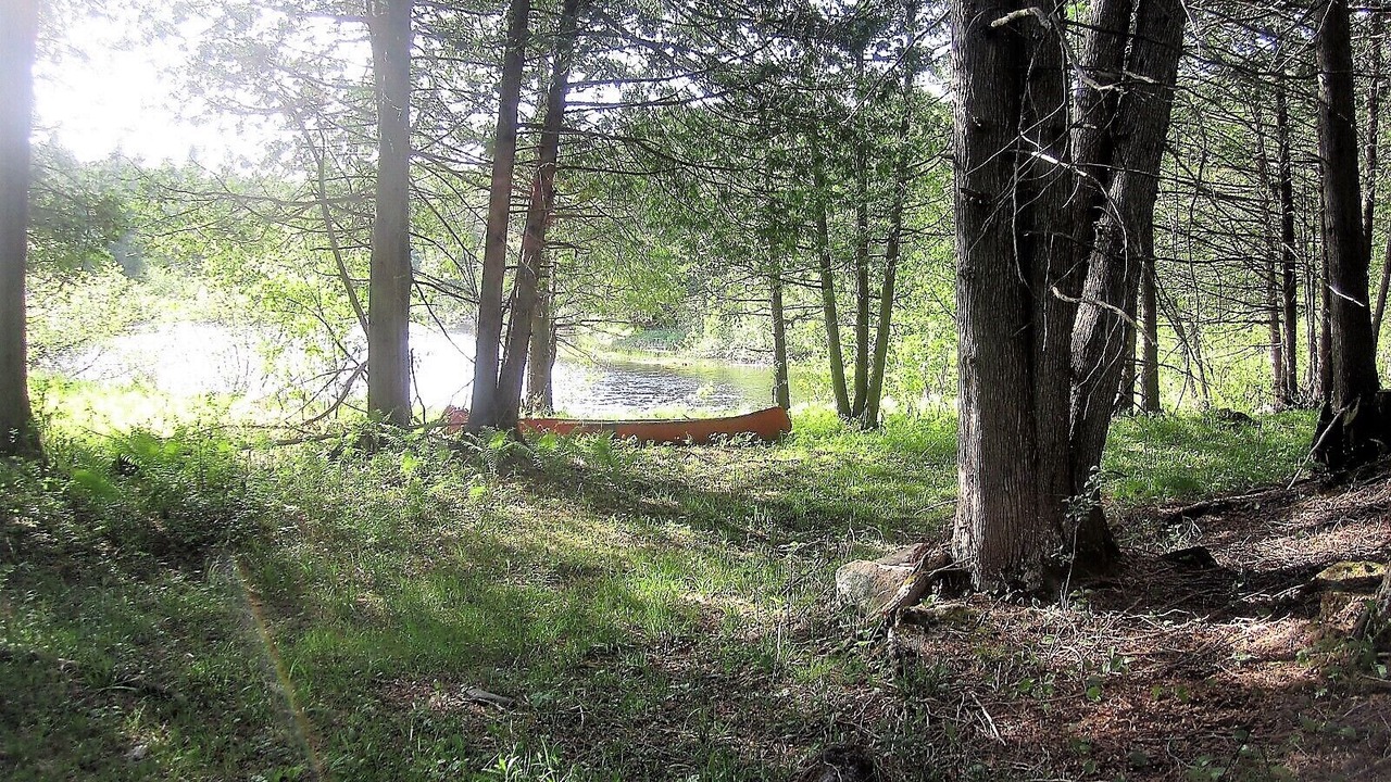 Photo of Outdoor in Tay Valley