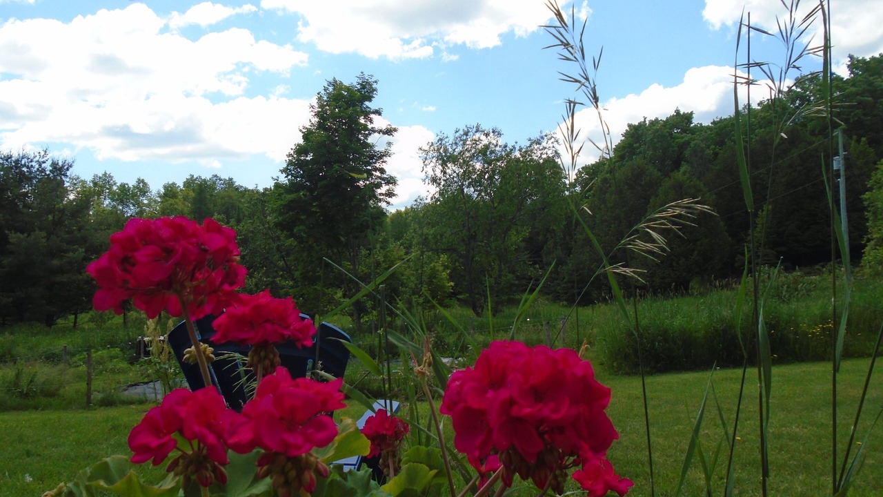 Photo of Outdoor in Tay Valley